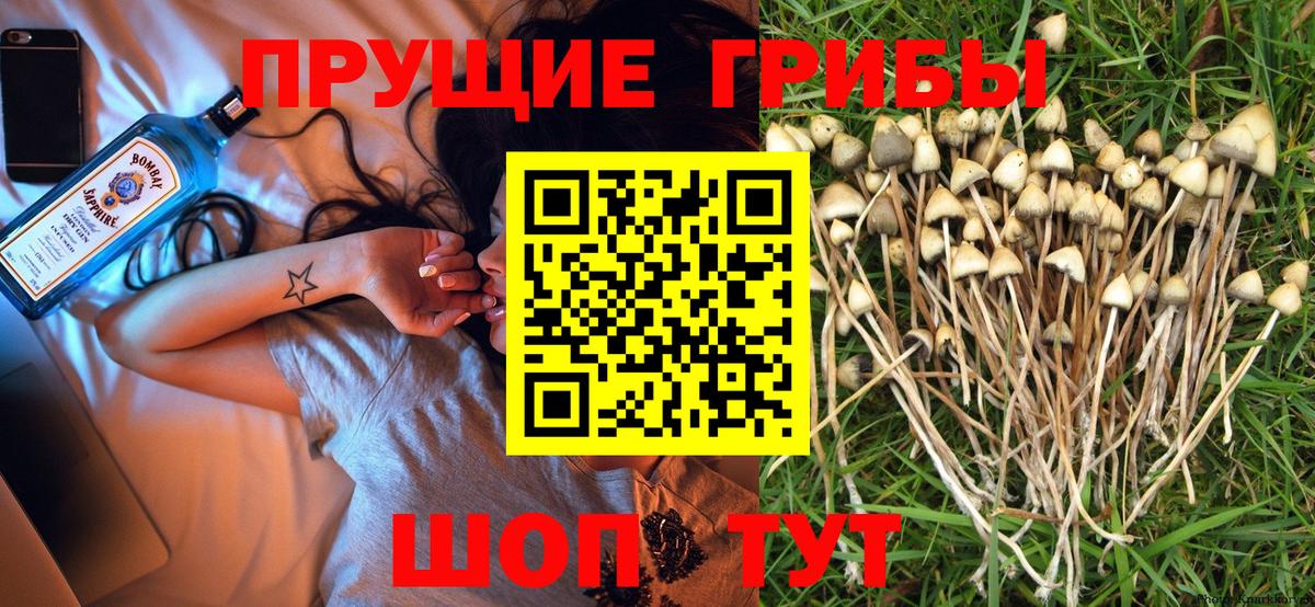 Псилоцибиновые грибы Magic Shrooms  Вход с VPN  Дзержинский  Галлюциногенные грибы Magic Shrooms 
